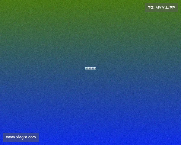 冠军赞助的球队