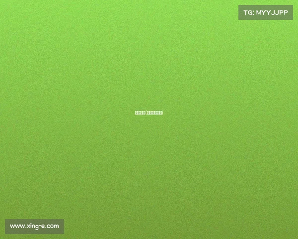 滑轮赛事(滑轮国际比赛)