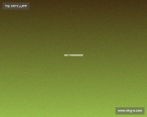 斯巴达19年赛事—斯巴达公开赛